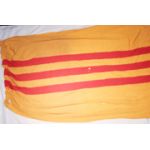 Early South Vietnamese National Flag