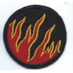 WWII 119th Ghost / Phantom Division Patch