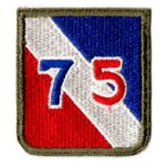 WWII 75th Division Patch