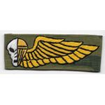 Vietnam US Marine Corps Recon Wing Patch