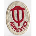 WWII Occupational Therapy Apprentice Patch