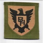 WWI 86th Division Liberty Loan Patch