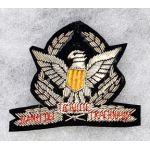 ARVN / South Vietnamese Army 4th Pattern NCO's Bullion Beret Badge