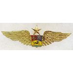 1960's Venezuelan Command Pilot's Wing