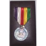 Japanese Cased Showa Enthronement Medal