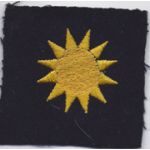 40th Division Patch