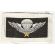 ARVN / South Vietnamese Army Pattern Basic Airborne Jump Wings