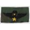 ARVN / South Vietnamese Special Forces Pattern Senior Airborne Wing On ERDL Background